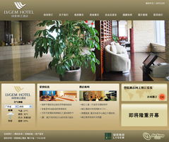 深圳企業(yè)形象設計專家 從CI策劃到品牌重塑的全面解析